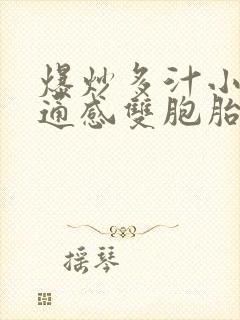 爆炒多汁小美人通感双胞胎