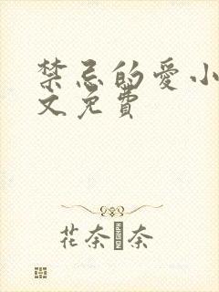 禁忌的爱小说全文免费