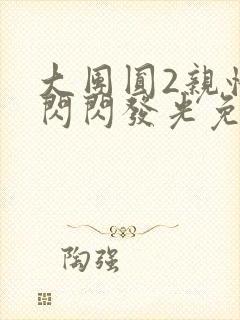 大团圆2亲情会闪闪发光免费