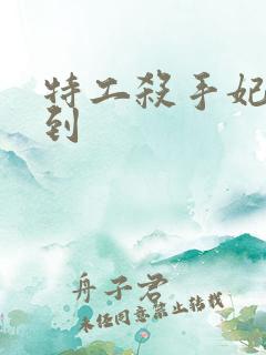 特工杀手妃来驾到