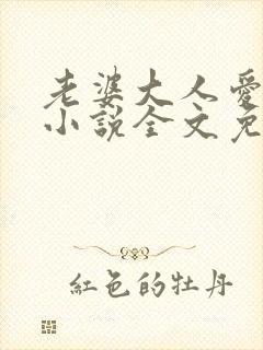 老婆大人爱上我小说全文免费阅读