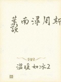 叶南浔周斯年小说