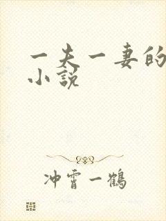 一夫一妻的玄幻小说