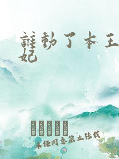 谁动了本王的悍妃