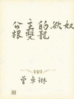 公主的欲奴h四根双龙