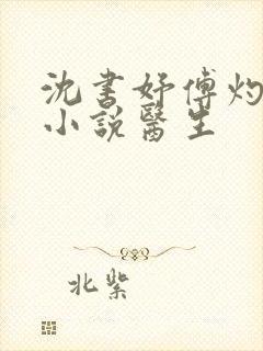 沈书妤傅灼抖音小说医生