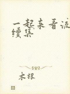 一起来看流星雨续集