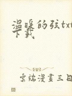 温暖的弦txt下载