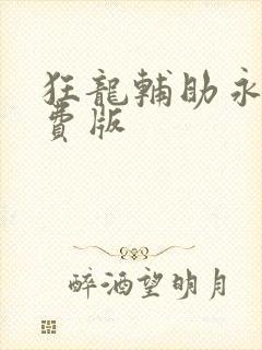 狂龙辅助永久免费版