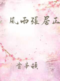 风雨张居正下载