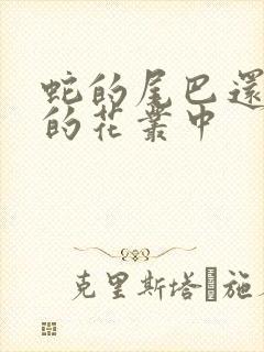 蛇的尾巴还在我的花丛中