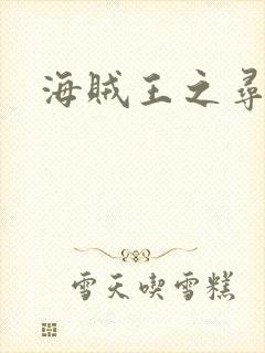 海贼王之寻亲记