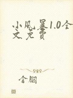 小风暴1.0全文免费