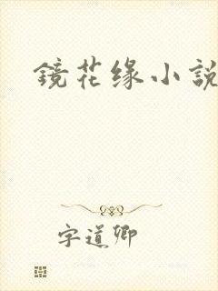 镜花缘小说
