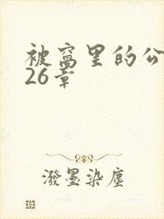 被窝里的公憩第26章