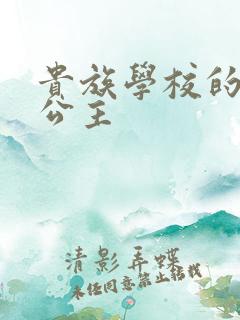 贵族学校的双面公主