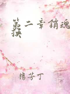 第二章销魂的交换