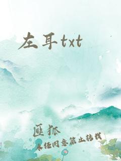 左耳txt