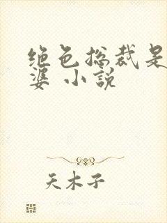 绝色总裁是我老婆 小说