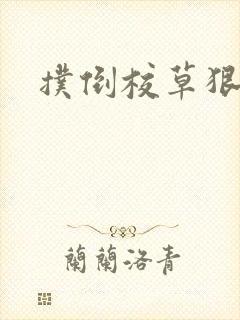 扑倒校草狠狠亲