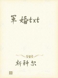 军婚txt