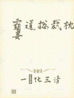 霸道总裁枕边前妻