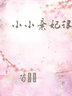 小小弃妃很倾城