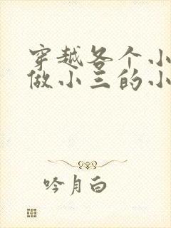 穿越各个小世界做小三的小说