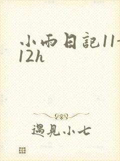 小雨日记11-12h