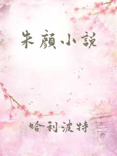 朱颜小说