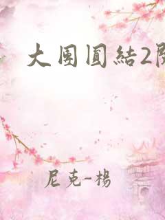大团圆结2阅读