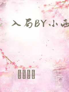 入局BY小西