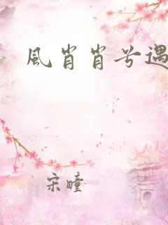 风肖肖兮遇子期