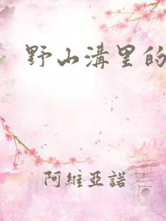 野山沟里的村庄