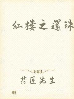 红楼之还珠与溶