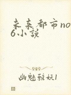 未来都市no.6小说