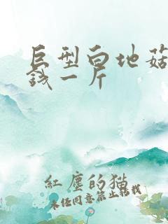 巨型白地菇多少钱一斤