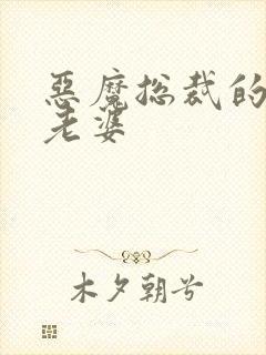 恶魔总裁的宝贝老婆