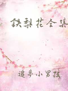 铁梨花全集下载