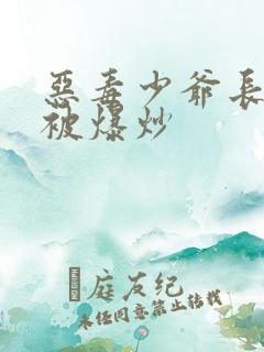 恶毒少爷长大后被爆炒