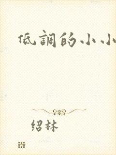 低调的小小宫女