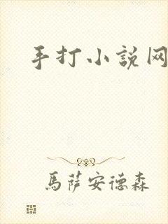 手打小说网