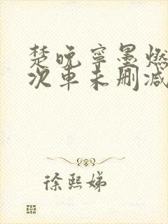 楚晚宁墨燃第一次车未删减