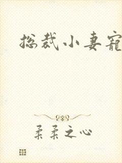 总裁小妻宠上天