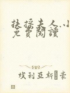 扶摇夫人.小说免费阅读