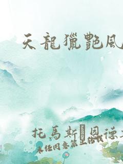 天龙猎艳风流