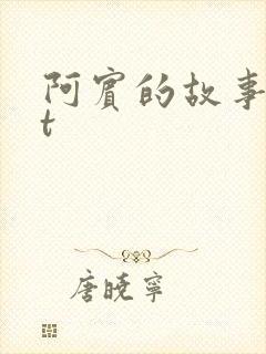 阿宾的故事txt