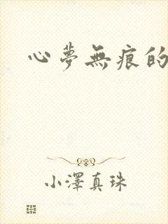 心梦无痕的小说