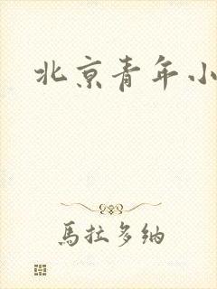 北京青年小说