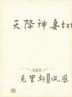 天降神妻txt